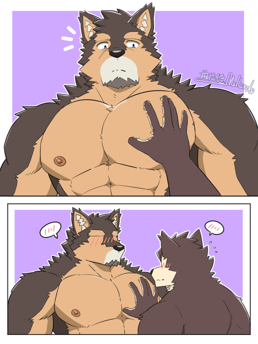 2boys abs animal_ears bara blush brown_fur completely_nude couple dog_boy dog_ears facial_hair furry furry_male furry_with_furry goatee groping highres large_pectorals live_a_hero male_focus male_protagonist_(live_a_hero) mallards meme multiple_boys muscular muscular_male nipples no_eyes nude pectorals pubraseer_(live_a_hero) short_hair sibi2028_pectoral_grab_(meme) spoken_blush stomach thick_eyebrows two-tone_fur yaoi