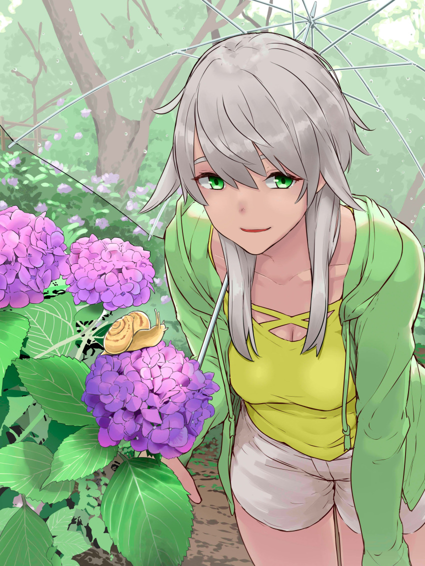 absurdres collarbone commentary_request dark-skinned_female dark_skin eyebrows female flower flying_witch green_eyes grey_hair highres holding holding_umbrella hood hoodie hydrangea ishizuka_chihiro kowata_akane leaning_forward looking_at_viewer outdoors rain shorts smile snail solo swept_bangs transparent transparent_umbrella umbrella