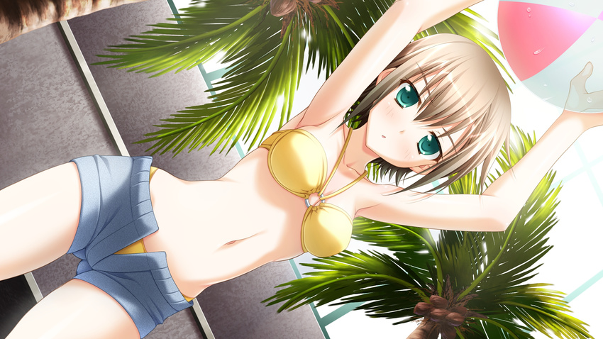 :o armpits arms_up ball beach_volleyball beachball bikini bikini_under_clothes blush brown_hair coconut_tree contrapposto cowboy_shot denim denim_shorts dutch_angle female game_cg green_eyes grey_shorts highres konakana_2:_konata_yori_kanata_made_ii minase_(dragon_panda) navel open_fly palm_tree parted_lips short_hair shorts solo standing swimsuit tokiwa_chika tree yellow_bikini