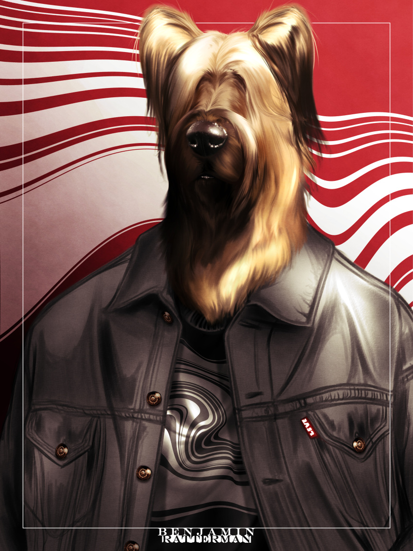 3:4 absurd_res anthro band1tnsfw briard canid canine canis clothing denim denim_clothing denim_jacket denim_topwear digital_media_(artwork) domestic_dog hair hair_over_eye herding_dog hi_res jacket male mammal one_eye_obstructed pastoral_dog sheepdog skater solo topwear