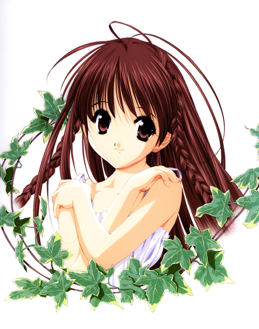 antenna_hair bad_link braid brown_eyes brown_hair camisole closed_mouth crossed_arms female flat_chest hands_on_own_shoulders highres karen_(sister_princess) long_hair looking_at_viewer official_art plant scan side_braids simple_background sister_princess smile straight_hair tenhiro_naoto twin_braids upper_body very_long_hair vines white_background white_camisole