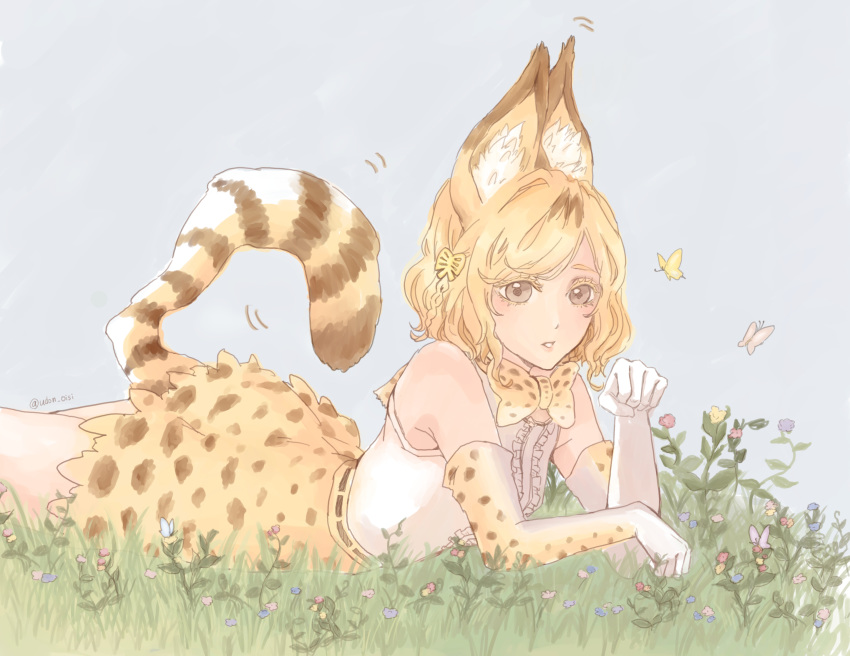 akagi_mako animal_ears ballroom_e_youkoso blonde_hair bow bowtie brown_eyes bug butterfly cosplay elbow_gloves female flower gloves hair_ornament high-waist_skirt highres kemono_friends lying on_stomach orange_bow orange_bowtie print_bow print_bowtie print_gloves print_skirt serval_(kemono_friends) serval_(kemono_friends)_(cosplay) serval_print skirt striped_tail tail the_pose traditional_bowtie udon_oisi