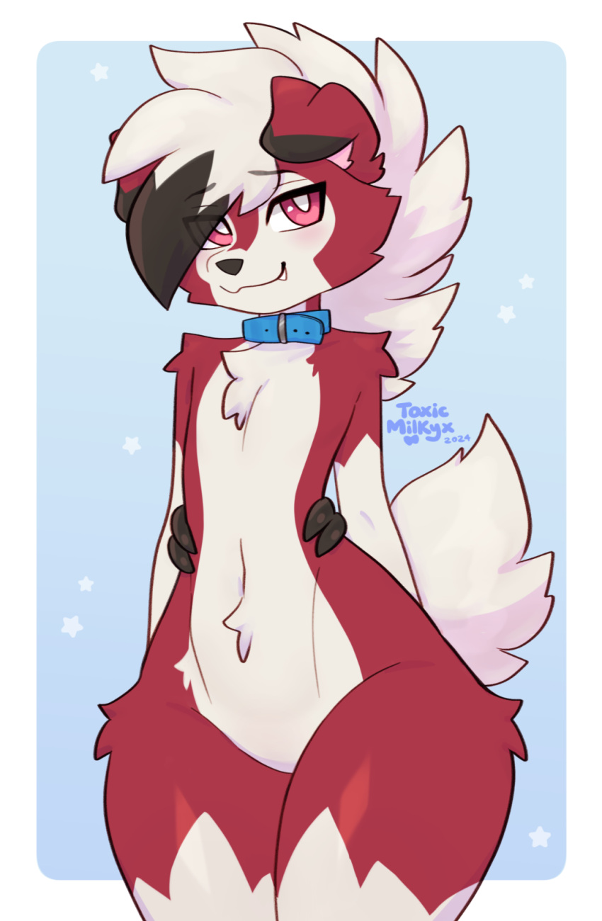 anthro biped blush canid canine collar deathhawk femboy fur generation_7_pokemon hi_res lycanroc male mammal midnight_lycanroc nintendo pokemon pokemon_(species) red_body red_eyes red_fur short_tail smile solo tail toxicmilkyx white_body white_fur