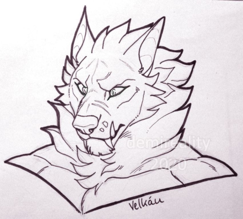 2020 anthro artist_name big_fangs bust_portrait canid cheek_tuft dated demireality facial_tuft fangs head_tuft male mammal monochrome mouth_closed muscular muscular_anthro muscular_male neck_tuft portrait simple_background solo teeth tuft