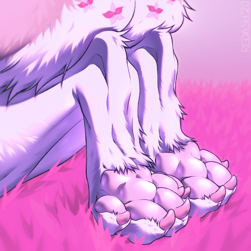 1:1 2020 4_toes abstract_background ambiguous_gender anthro beastfromhell claws colored_nails feet foot_focus fur hi_res kneeling mammal nails pawpads pink_nails pink_pawpads pink_toenails simple_background soles solo toe_claws toenails toes white_body white_fur