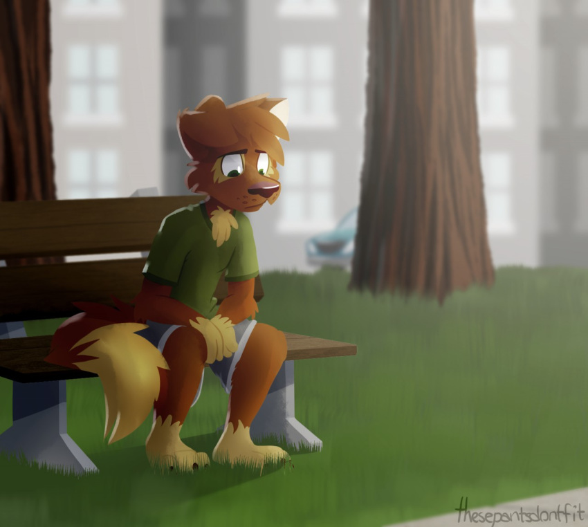 anthro barefoot bench blue_bottomwear blue_clothing blue_pants bottomwear brown_body brown_fur canid canine canis clothing depression domestic_dog feet fur grass green_clothing green_eyes green_shirt green_topwear male mammal matt_riskely outside pants plant shirt shorts solo tinydeerguy topwear tree