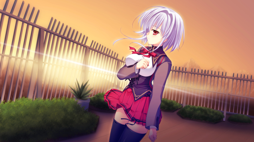 game_cg gray_hair manatsu_no_yoru_no_yuki_monogatari mikeou red_eyes seifuku shinjou_yukina short_hair sunset thighhighs