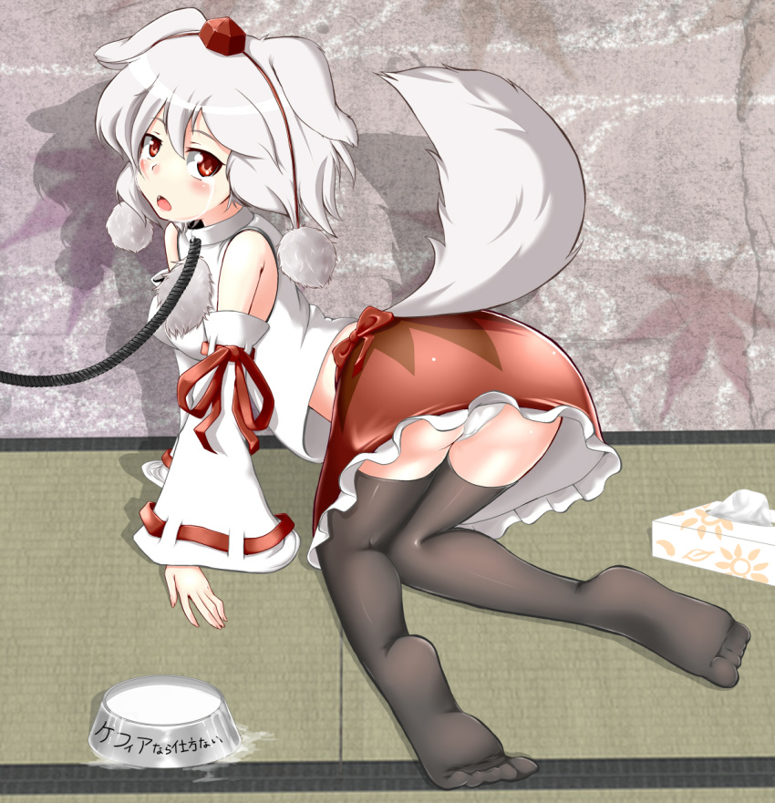 all_fours animal_ears bad_id bad_pixiv_id black_thighhighs collar detached_sleeves female full_body grey_hair hat highres inubashiri_momiji kefir panties pom_pom_(clothes) red_eyes shiina_excel skirt solo tail tears thighhighs tissue_box tokin_hat touhou underwear white_panties wolf_ears wolf_tail