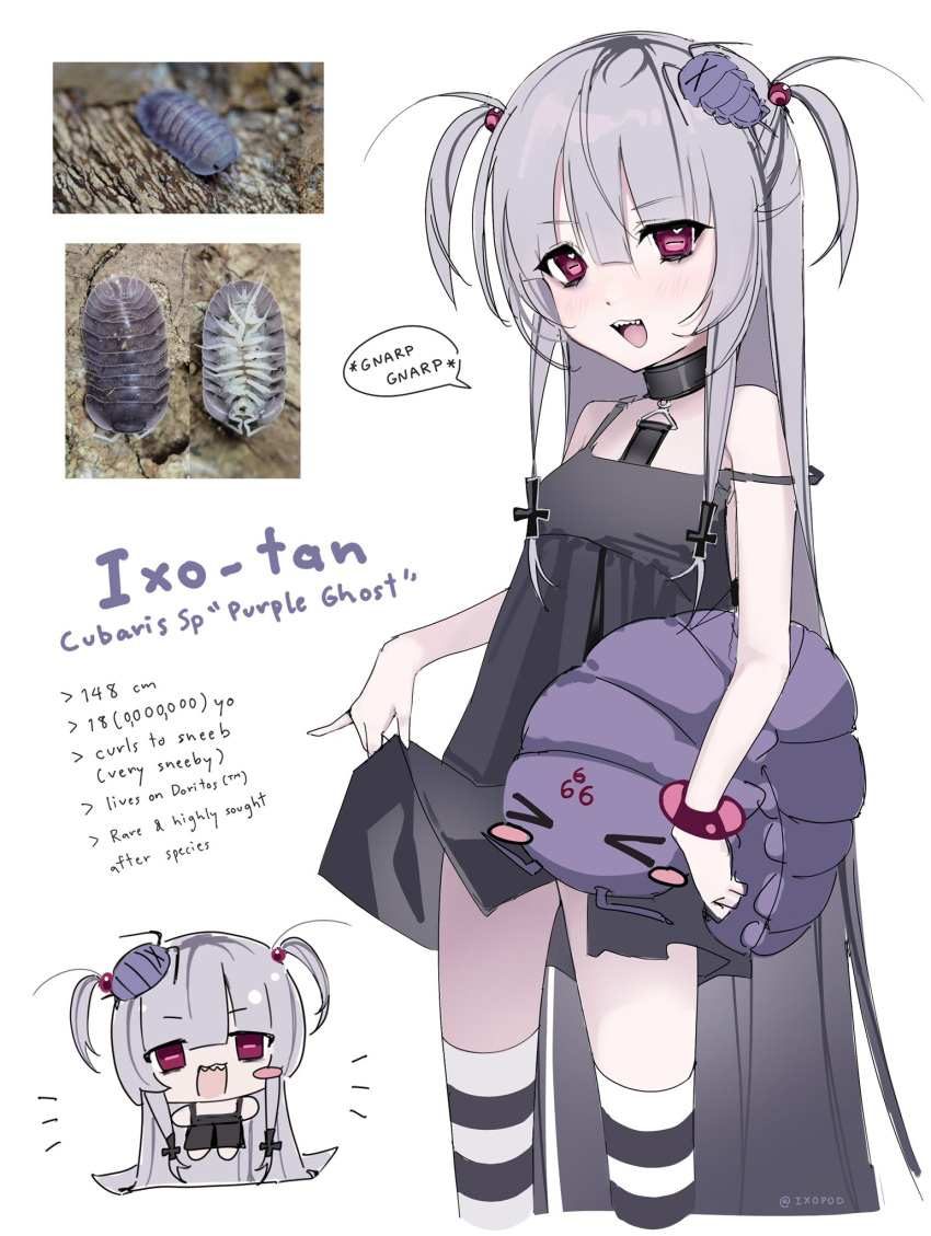 black_choker black_dress bug choker dress female flat_chest hair_ornament highres isopod ixopod original purple_hair red_eyes sharp_teeth socks striped_clothes striped_socks teeth