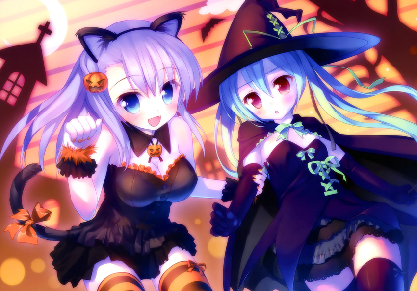 2girls absurdres aete_mushisuru_kimi_to_no_mirai animal_ears arm_grab bat_(animal) black_dress black_legwear blouse blue_eyes blue_hair blush bow_legwear cape cat_ears cat_tail detached_collar dress elbow_gloves fake_animal_ears food frilled_dress frills fruit gloves hair_ornament halloween hat highres jack-o'-lantern jack-o'-lantern_hair_ornament leaning_forward long_hair looking_at_viewer manabe_kei miniskirt multiple_girls off_shoulder open_mouth orange_(fruit) orange_legwear paw_pose ponytail purple_hair red_eyes sawatari_nanagi shirt skirt smile standing striped_clothes striped_thighhighs tail takoyaki_(roast) thighhighs twintails witch_hat wristband zettai_ryouiki