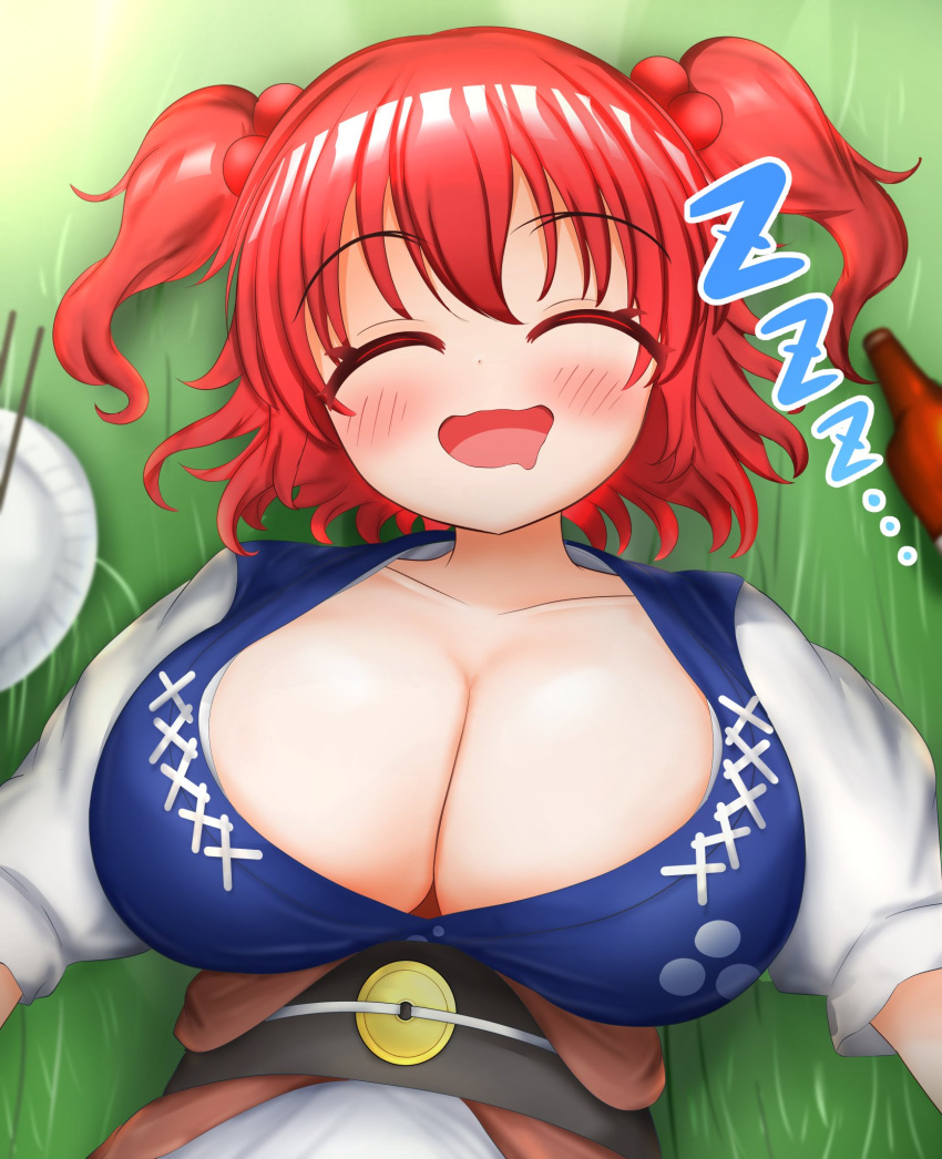 blush bottle breasts chopsticks closed_eyes coin coin_on_string drooling grass hair_bobbles hair_ornament highres huge_breasts kasoka_soka on_grass onozuka_komachi plate red_hair sleeping smile tagme touhou twintails zzz