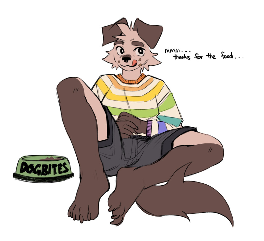 anthro biped black_bottomwear black_clothing black_eyes black_shorts bondage bottomwear bowl brown_body brown_fur canid canine canis clothing container dog_food domestic_dog floppy_ears fur hemuchang hi_res licking licking_lips looking_at_viewer male mammal multicolored_clothing multicolored_shirt multicolored_topwear pet_bowl pet_food petplay puppyplay rainbow_clothing rainbow_shirt rainbow_topwear roleplay shin_(hemuchang) shirt shorts slim_anthro slim_male solo tongue topwear