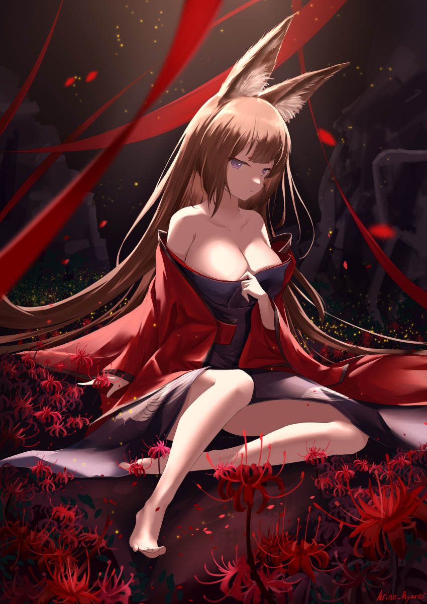 absurdres amagi_(azur_lane) animal_ear_fluff animal_ears arino_ayarei artist_name azur_lane barefoot breasts brown_hair cleavage coat female flower full_body highres japanese_clothes kimono large_breasts long_hair looking_at_viewer md5_mismatch open_clothes open_coat purple_eyes purple_kimono red_flower red_ribbon ribbon sitting solo spider_lily very_long_hair wide_sleeves