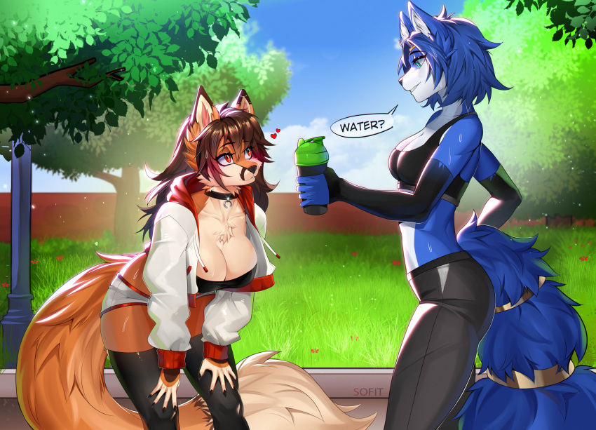 anthro athletic_wear big_breasts bottomwear breasts canid canine clothing duo ear_piercing exercise female female/female fox gym_bottomwear gym_shorts hi_res krystal_(star_fox) mammal nintendo park piercing shorts sofit sportswear star_fox summer tired_look