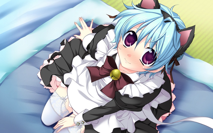 aizawa_yuu animal_ears blue_hair flag_he_shiori_otoko game_cg komoda maid purple_eyes short_hair