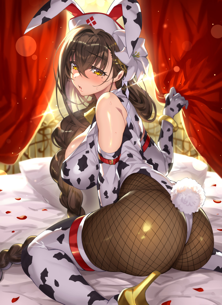 animal_ears animal_print ass back bare_shoulders bed bed_sheet blush bracelet braid breasts brown_eyes brown_hair commentary_request curtains fake_animal_ears female fishnet_pantyhose fishnets flower from_behind hair_flower hair_ornament high_heels highres jewelry kanpani_girls large_breasts leotard long_hair looking_at_viewer looking_back mole mole_under_eye pantyhose parted_lips petals pillow playboy_bunny rabbit_ears rabbit_tail red_curtains senri_gan shiny_clothes shiny_skin shirayuri_sakura single_braid sleeveless solo sweat sweatdrop tail very_long_hair white_leotard