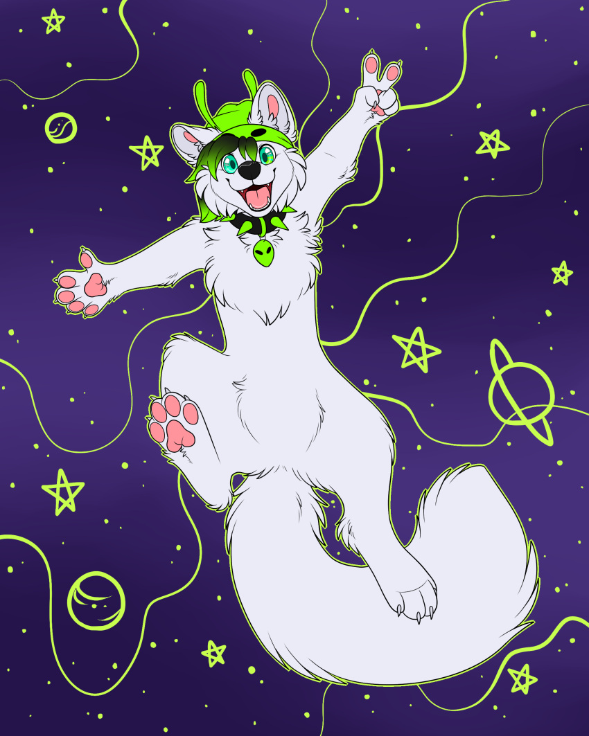 2024 4_toes 5_fingers absurd_res anthro arctic_fox beanie black_collar black_hair black_nose blue_eyes canid canine claws clothing collar collar_tag cosmic_background digital_drawing_(artwork) digital_media_(artwork) digitigrade featureless_crotch feet finger_claws fingers flat_colors fluffy_chest fox full-length_portrait fur gesture green_beanie green_clothing green_hat green_headwear green_highlights green_outline green_spikes hair hand_gesture hat headgear headwear hi_res highlights_(coloring) hindpaw jumping limewire_(maligaytor) looking_at_viewer male maligaytor mammal mostly_nude open_mouth open_smile outline paint_tool_sai_(artwork) pawpads paws pink_pawpads pink_tongue portrait smile smiling_at_viewer solo space space_background spiked_collar spikes tail teeth toe_claws toes tongue true_fox v_sign white_body white_claws white_fur