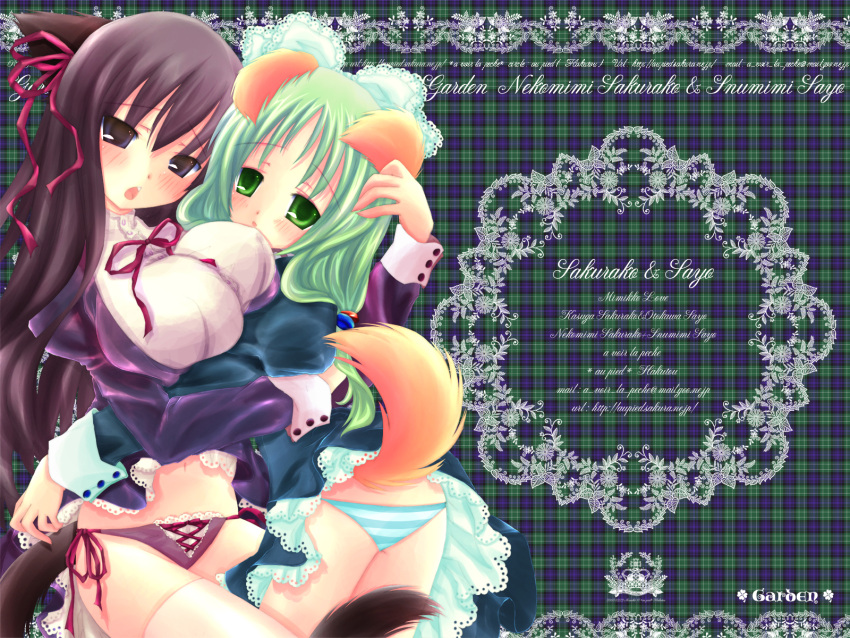 2girls animal_ears au_pied brown_eyes brown_hair clothes_lift dog_ears dress dress_lift garden_(game) green_eyes green_hair hair_ribbon highres kasuga_sakurako long_hair multiple_girls otokawa_sayo panties purple_panties ribbon side-tie_panties striped_clothes striped_panties tail underwear yuri