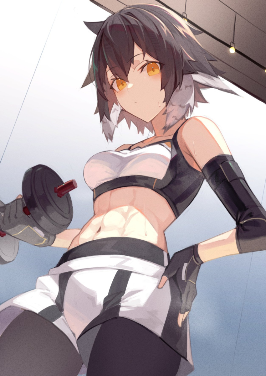 arknights bare_shoulders bird_girl black_gloves black_leggings blush breasts brown_hair commentary_request compression_sleeve dumbbell feather_hair female fingerless_gloves gloves hair_between_eyes highres leggings leggings_under_shorts looking_at_viewer midriff multicolored_hair navel official_alternate_costume plume_(arknights) plume_(easy_time)_(arknights) sasa_onigiri short_hair solo sports_bra sweat white_hair white_sports_bra yellow_eyes