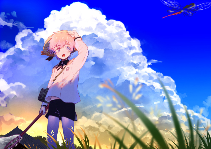 1boy absurdres adjusting_clothes adjusting_headwear akita_toushirou black_ribbon black_shorts blue_eyes blue_sky bug butterfly_net cloud day dragonfly grass hand_net hat highres holding holding_butterfly_net insect_cage jun_(nad-j) long_sleeves male_focus neck_ribbon open_mouth outdoors pink_hair ribbon short_hair shorts sky solo sun_hat touken_ranbu twilight