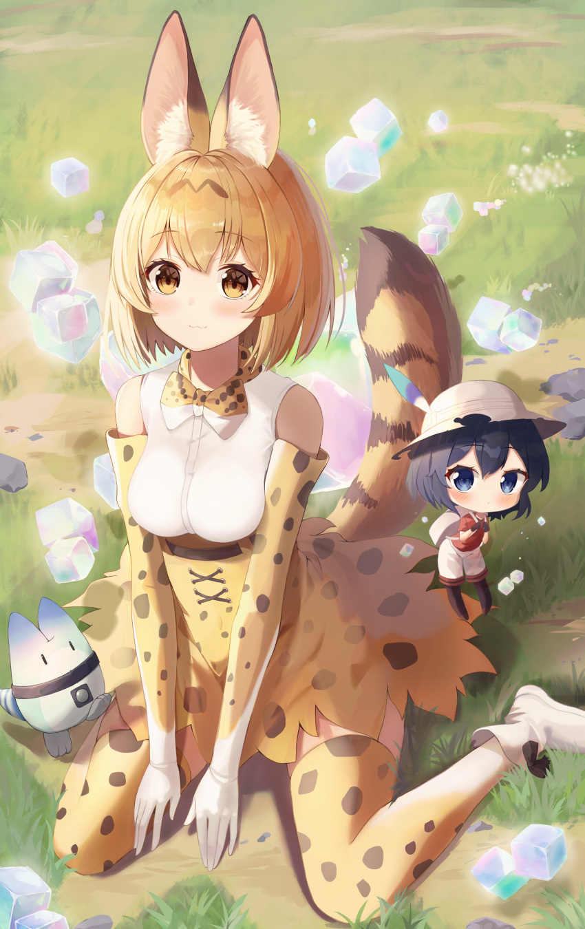 2girls :3 absurdres animal_ears backpack bag bare_shoulders bitseon black_hair black_pantyhose blonde_hair blush bow bowtie breasts brown_hairband chibi closed_mouth commentary day gloves grass hairband hat_feather helmet high-waist_skirt highres holding_strap kaban_(kemono_friends) kemono_friends looking_at_viewer lucky_beast_(kemono_friends) medium_breasts multiple_girls on_ground orange_eyes orange_gloves orange_skirt orange_thighhighs outdoors pantyhose pith_helmet print_bow print_bowtie print_gloves print_skirt print_thighhighs red_shirt sandstar serval_(kemono_friends) serval_print shadow shirt short_hair shorts sitting skirt sleeveless sleeveless_shirt smile striped_tail tail thighhighs traditional_bowtie two-tone_bowtie wariza white_bow white_bowtie white_footwear white_shirt yellow_bow yellow_bowtie