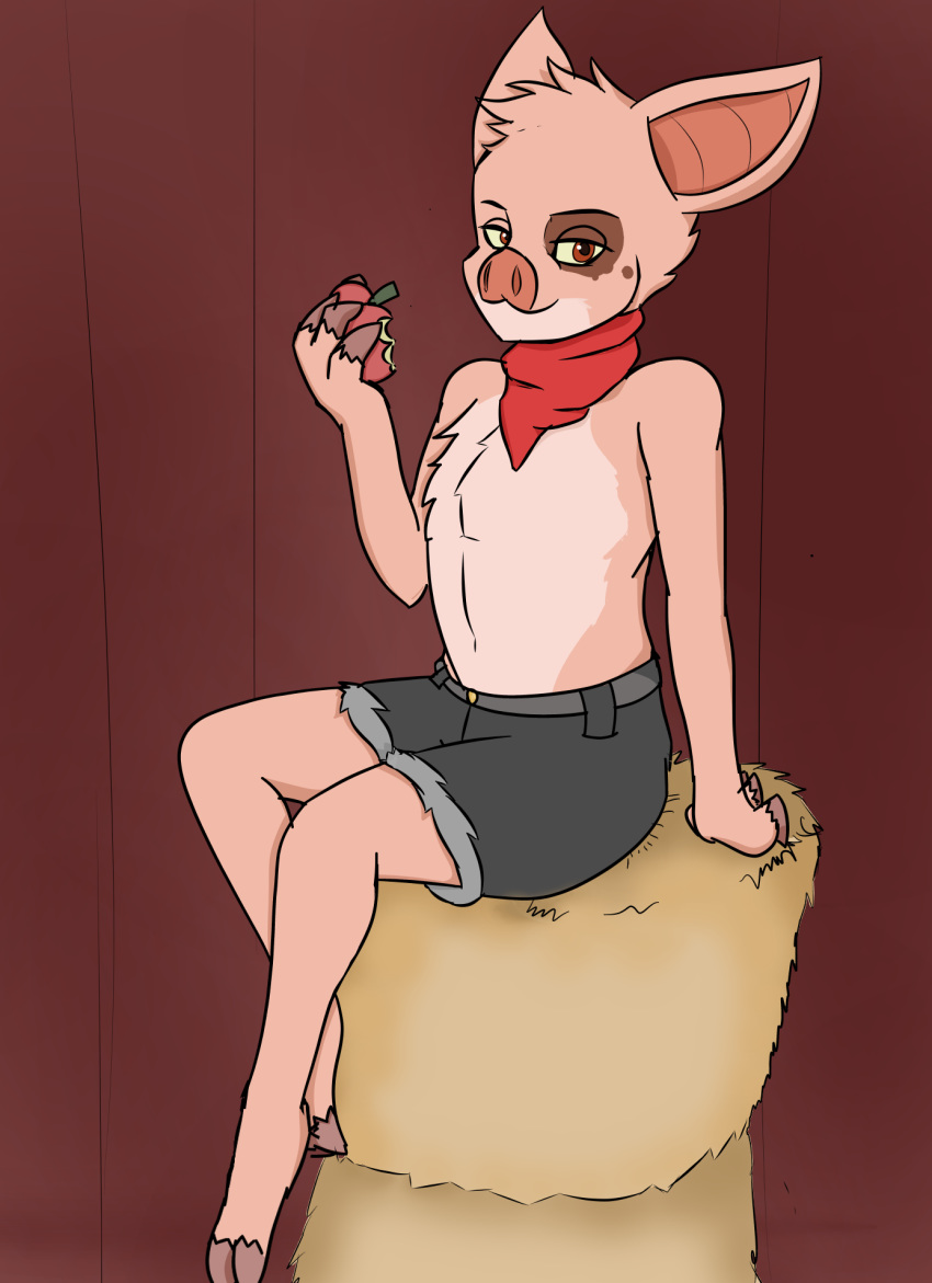 anthro apple bottomwear clothing cutoffs denim denim_bottomwear denim_clothing domestic_pig duncan_(kabscorner) eating food fruit hay hay_bale hi_res kerchief male mammal neckerchief plant qunteki short_pants shorts sitting solo suid suina sus_(pig) young