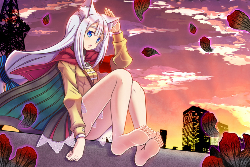 7th_dragon_(series) 7th_dragon_2020 7th_dragon_2020-ii animal_ear_fluff animal_ears bare_legs barefoot black_skirt blue_bow blue_eyes bow cape chitrine_(7th_dragon) cloud cloudy_sky feet female floating full_body hairbow long_hair long_sleeves looking_at_viewer lucier_(7th_dragon) no_shoes open_mouth petals puffy_long_sleeves puffy_sleeves qontamblue red_cape shirt sitting skirt sky soles solo sunset toes very_long_hair white_hair yellow_shirt