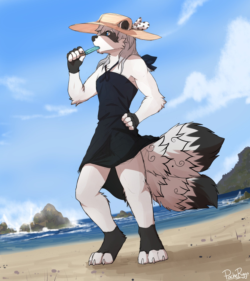 absurd_res anthro beach black_body black_fur blue_eyes blue_sky bow_hat clothed clothing crossdressing dress dutch_angle food full-length_portrait fur glistening glistening_eyes grey_body grey_fur grey_hair hair hand_on_hip hat headgear headwear hi_res holding_food holding_object holding_popsicle low-angle_view male mammal multi_tail outside pache_riggs popsicle popsicle_in_mouth portrait procyonid raccoon rock seaside signature sky solo standing sun_hat sundress tail tan_hat tan_headwear three-quarter_view white_body white_fur