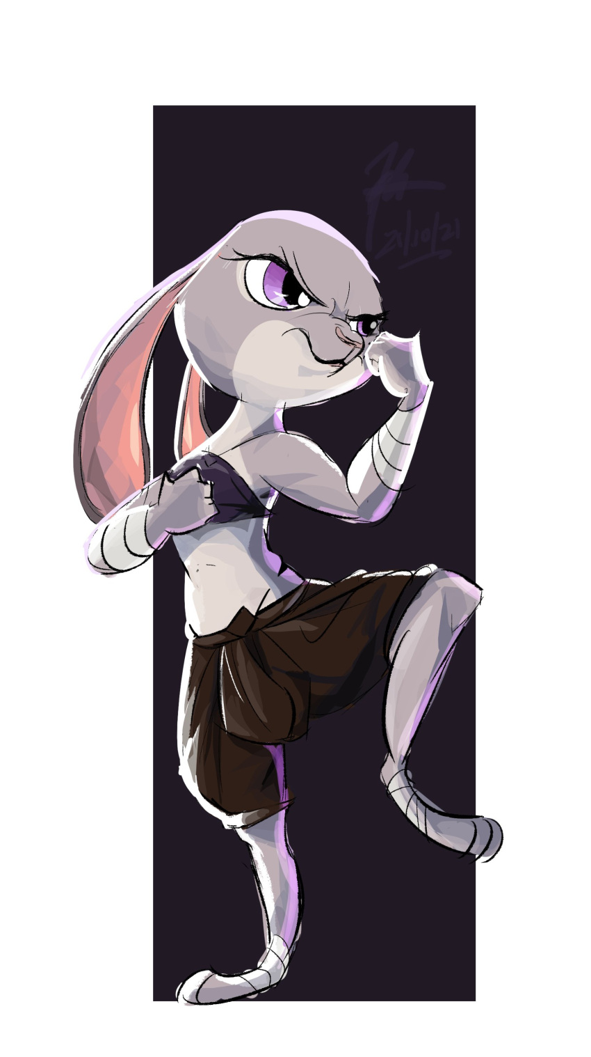 absurd_res anthro border clothed clothing disney female fur grey_body grey_fur hi_res judy_hopps lagomorph leporid light lighting mammal midriff purple_eyes rabbit shaded solo v-line white_border windspan zootopia