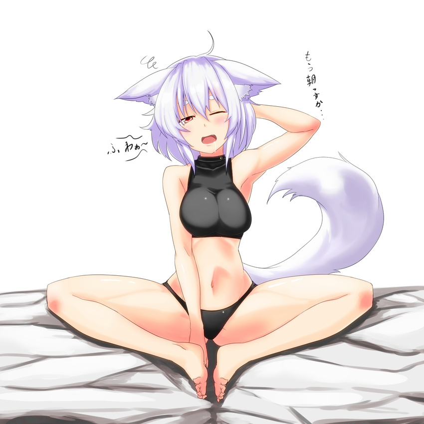 ahoge animal_ears armpits bare_arms bare_legs bare_shoulders barefoot bed black_panties blush breasts butterfly_sitting commentary_request feet female hand_on_own_head highres inubashiri_momiji karaage_(ta-na) large_breasts looking_at_viewer midriff navel oerba_yun_fang one_eye_closed panties red_eyes saliva short_hair sitting sleeveless sleeveless_turtleneck solo tail touhou translated turtleneck underwear white_hair wolf_ears wolf_tail