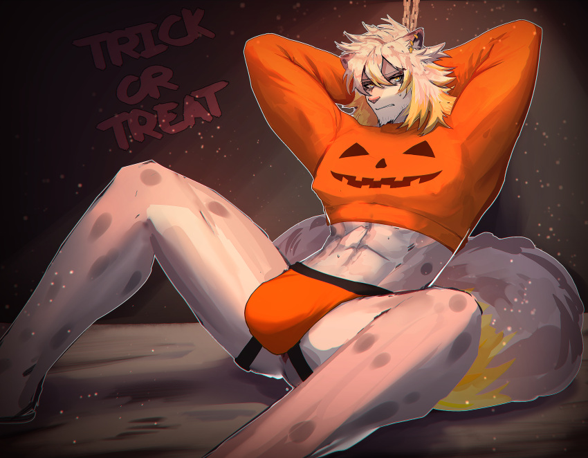 abs absurd_res anthro anus arms_tied blonde_hair bound bulge clothing crop_top felid frame_rez grey_body grunting hair halloween hi_res holidays humanoid jockstrap looking_at_viewer male mammal muscular orange_clothing orange_crop_top orange_jockstrap orange_shirt orange_topwear orange_underwear pantherine shirt sitting snow_leopard solo spread_legs spreading sweater tail topwear trick_or_treat underwear