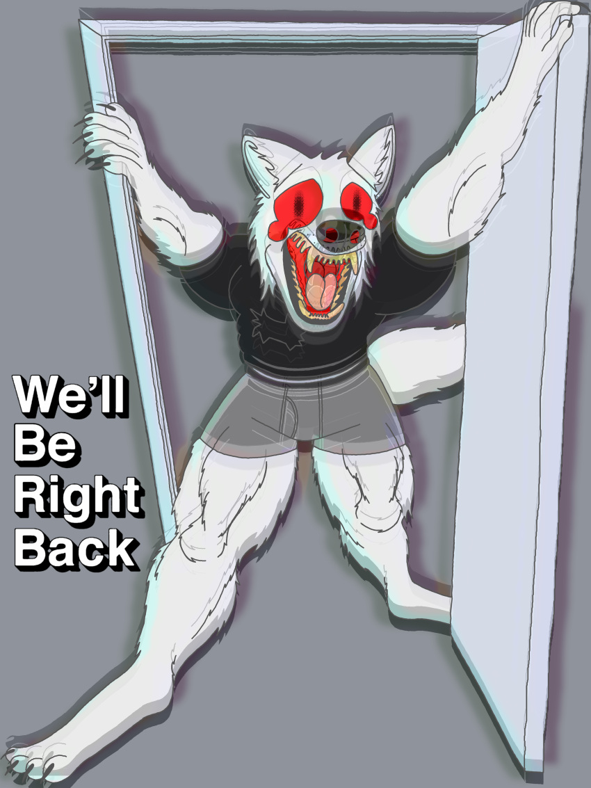 2023 3:4 absurd_res anthro big_nose black_clothing black_nose black_shirt black_topwear blood_tears canid canine canis claws clothing digital_media_(artwork) door doorway fangs fur grey_background grey_clothing grey_underwear hi_res male mammal meme open_mouth red_eyes schreckengast screaming shirt simple_background solo tail teeth teeth_showing the_eric_andre_show topwear underwear we'll_be_right_back white_body white_fur wolf