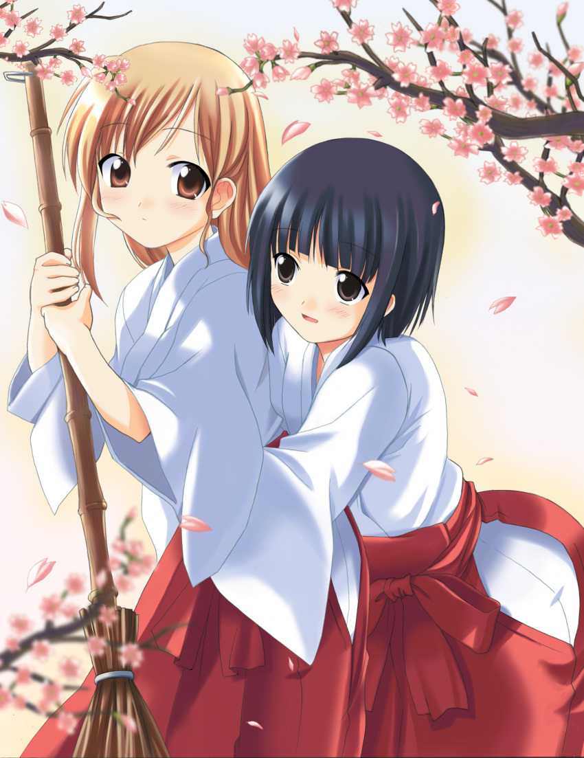 2girls absurdres bamboo_broom black_hair blonde_hair blush bob_cut branch broom cherry_blossoms hakama hakama_skirt highres hug hug_from_behind japanese_clothes looking_at_another maria-sama_ga_miteru miko multiple_girls nijou_noriko petals red_hakama scan short_hair skirt souryuu_(double_dragon) toudou_shimako wide_sleeves