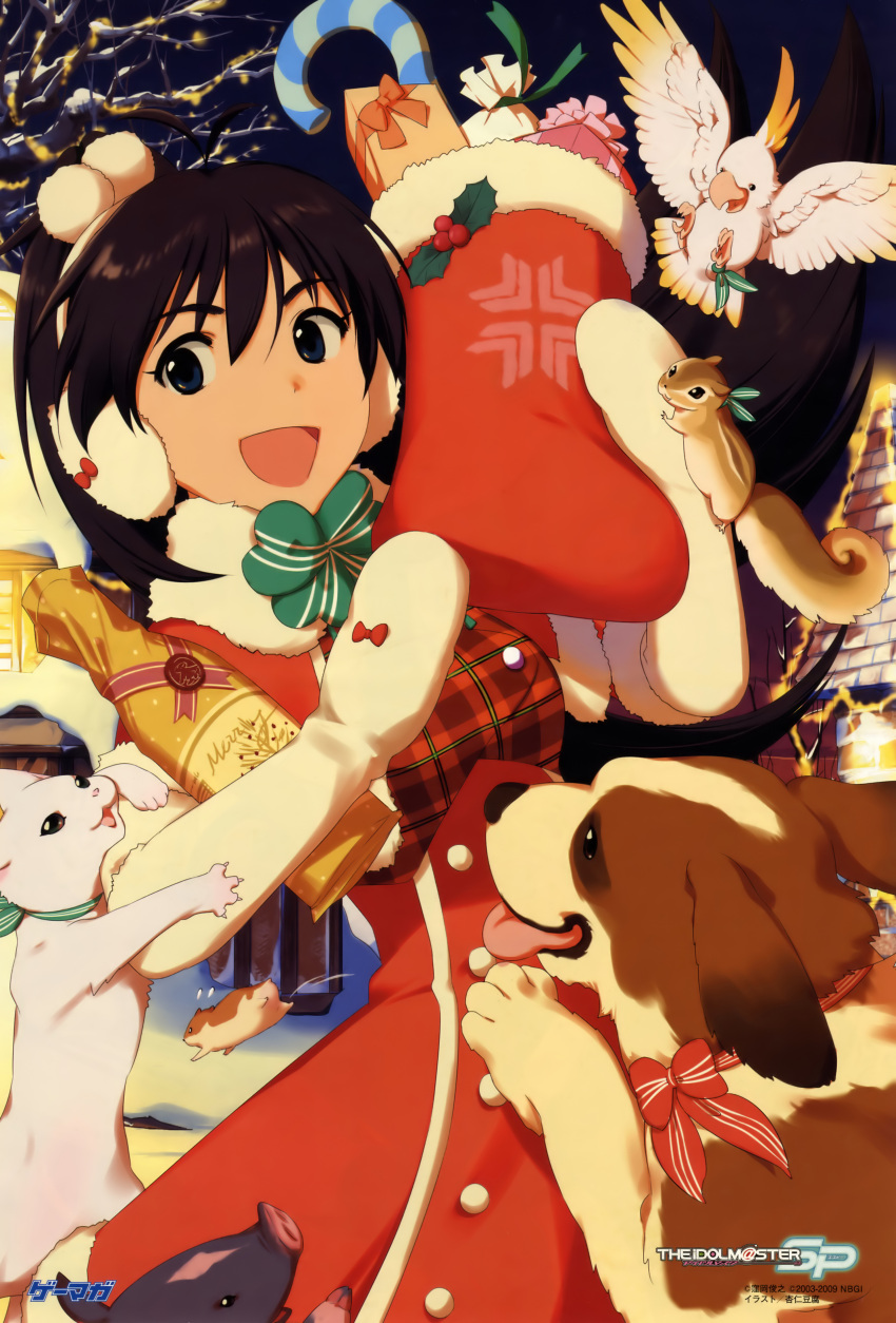 absurdres alcohol animal annindoufu_(oicon) bird black_hair candy candy_cane canine christmas christmas_stocking cockatoo earmuffs feline female food ganaha_hibiki gift gloves green_eyes hamster hamuzou highres idolmaster idolmaster_(classic) inumi official_art parrot pig ponytail sake santa_costume snow squirrel st_bernard white_gloves yellowtip_cockatoo_(idolmaster)