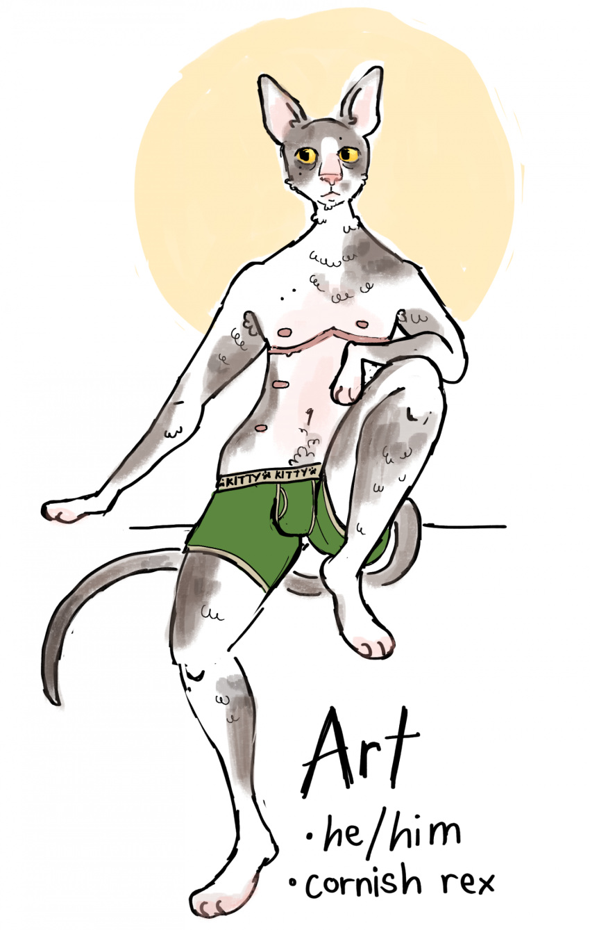 2024 3_fingers 3_toes 6_nipples absurd_res anthro armpit_hair belly_hair belly_nipples bent_legs body_hair boxers_(clothing) chest_scar clothed clothing colored cornish_rex digital_drawing_(artwork) digital_media_(artwork) domestic_cat english_text feet felid feline felis fingers flockdog fur green_boxers green_clothing green_underwear grey_body grey_fur grey_tail handpaw hi_res long_tail male mammal multi_nipple multicolored_body multicolored_fur navel nipples partially_clothed partially_clothed_anthro partially_clothed_male paws pink_nipples pronouns raised_leg rex_(cat) scar simple_background sitting solo species_name tail text text_on_clothing toes trans_(lore) trans_man_(lore) two_tone_body two_tone_fur underwear white_background white_body white_fur yellow_eyes