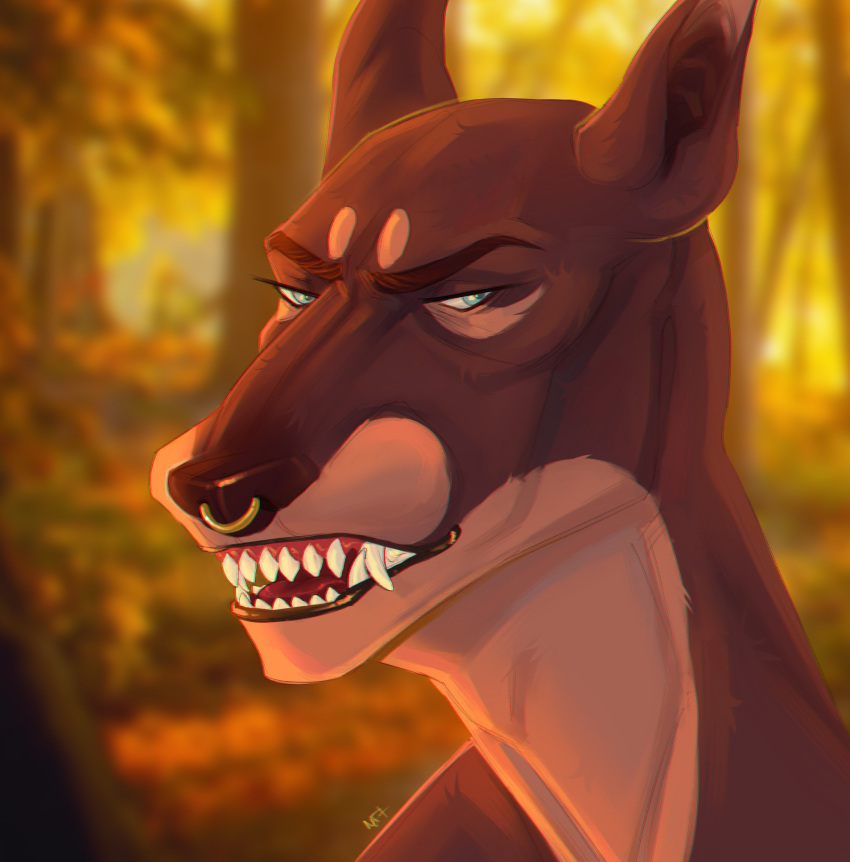 2024 angry anthro autumn blue_eyes brown_body brown_fur brown_nose canid canine canis carlos_(skoll666) colored cropped_ears dobermann domestic_dog eyebrows facial_piercing fangs forest forest_background fur hi_res l-mafia-l lips looking_at_viewer male mammal multicolored_body multicolored_fur nature nature_background nose_piercing nose_ring piercing pinscher plant portrait ring_piercing septum_piercing shaded showing_teeth simple_background snarling solo teeth tongue tree two_tone_body two_tone_fur