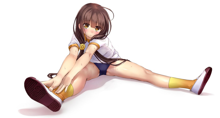 :< bare_legs blue_buruma blush brown_hair buruma commentary_request female flower flower_knight_girl full_body gym_uniform hair_flower hair_ornament hair_over_shoulder helenium_(flower_knight_girl) long_hair looking_at_viewer low_twintails sasayuki shirt shoe_soles shoes short_sleeves simple_background sitting socks solo spread_legs stretching sweat twintails uwabaki white_background white_footwear white_shirt yellow_eyes yellow_socks