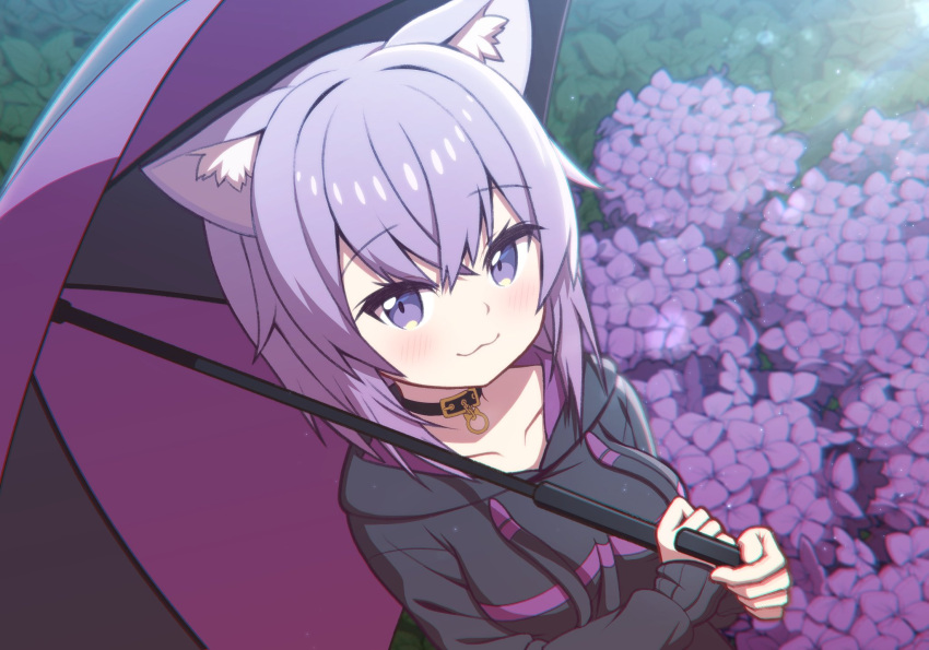 :3 animal_ear_fluff animal_ears black_collar black_sweater black_umbrella breasts cat_ears collar collarbone commentary_request drawstring female flower from_above highres holding holding_umbrella hololive hydrangea light_blush looking_at_viewer medium_breasts nekomata_okayu nekomata_okayu_(1st_costume) outdoors purple_eyes purple_flower purple_hair purple_theme purple_umbrella short_hair sizque smile solo sweater two-tone_umbrella umbrella umbrella_over_shoulder upper_body virtual_youtuber