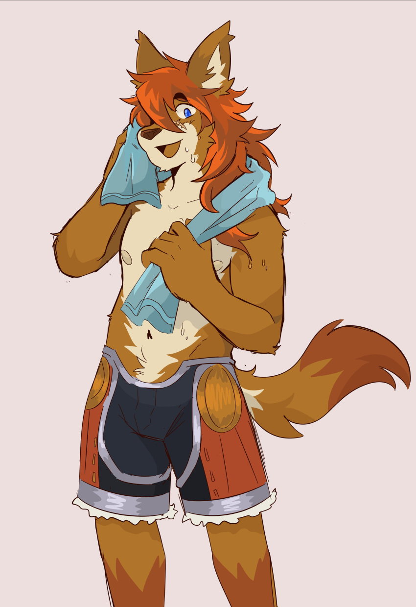 absurd_res after_exercise anthro bodily_fluids bottomwear canid canine caninu canis clothing cyberconnect2 domestic_dog hair hi_res little_tail_bronx long_hair male mammal navel nipples red_savarin shorts solatorobo solo sweat thesketchfox towel