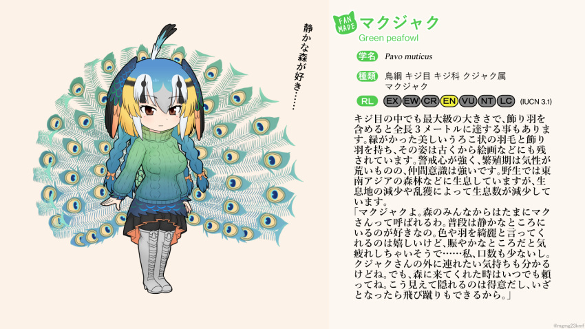 16:9 accessory animal_humanoid avian avian_humanoid big_breasts bird bird_humanoid blonde_hair boots bottomwear braided_hair breasts brown_eyes clothed clothing english_text fan_character feathers female footwear galliform galliform_humanoid green_peafowl_(mo23) hair hair_accessory hair_ribbon head_wings hi_res humanoid japanese_text kemono_friends knee_boots knee_highs legwear mo23 multicolored_hair pantyhose peafowl_humanoid ribbons scientific_name skirt solo sweater tail tail_feathers text topwear translation_request turquoise_hair turtleneck white_hair widescreen wings