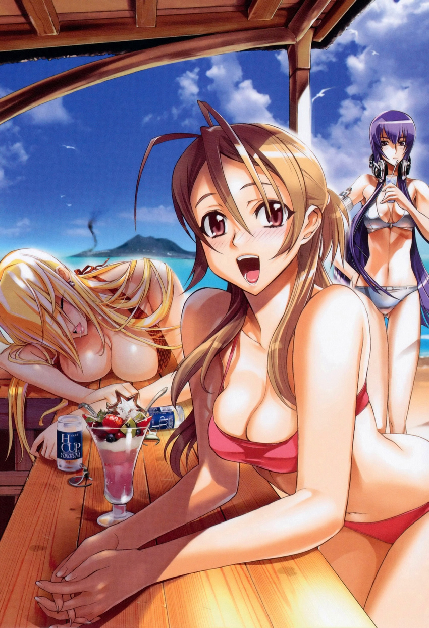 3girls :d absurdres alcohol antenna_hair armband ass_visible_through_thighs beach beer bent_over bikini bird blonde_hair breast_press breasts brown_hair busujima_saeko can cleavage closed_eyes cloud covered_nipples day dessert drink drinking_straw earrings food hand_on_own_hip headphones highres highschool_of_the_dead ice_cream jewelry large_breasts lipstick long_hair makeup marikawa_shizuka miyamoto_rei multiple_girls official_art open_mouth outdoors own_hands_clasped own_hands_together photoshop_(medium) pink_eyes purple_hair saliva satou_shouji scan seagull sky sleeping smile standing sundae swimsuit thigh_gap very_long_hair water