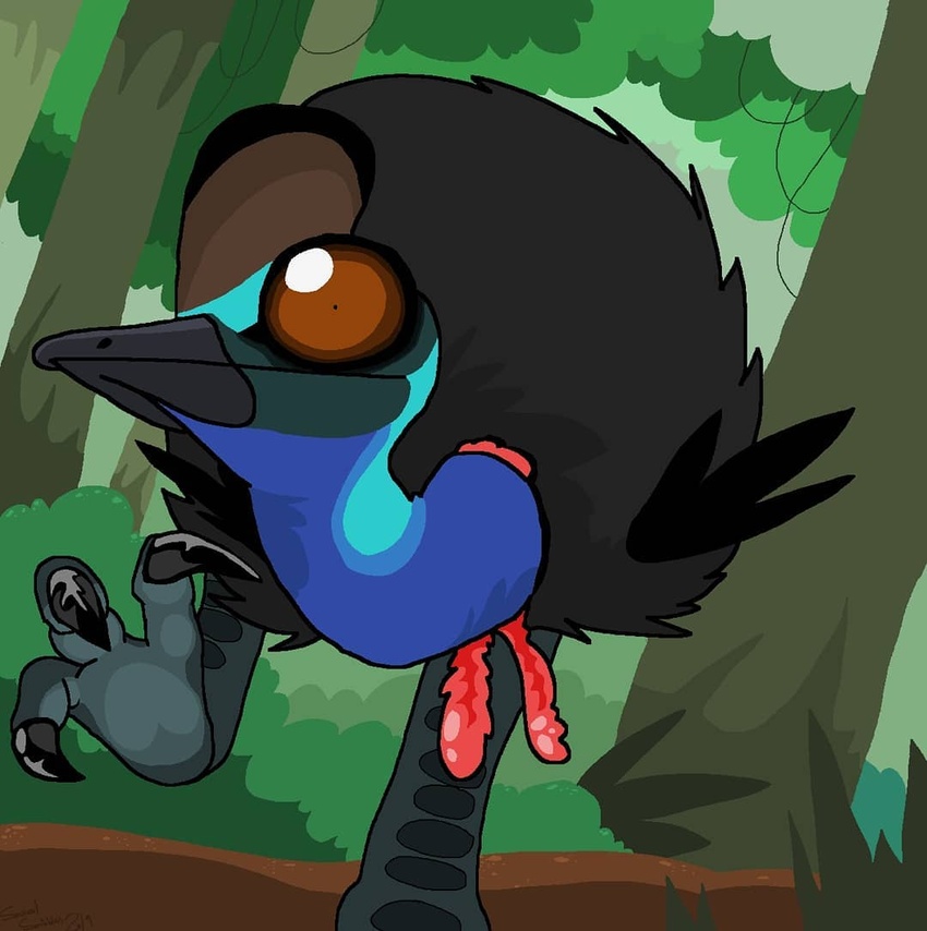 ambiguous_gender avian avian_caruncle beak big_pupils bird black_body black_feather_hair black_feathers blue_body blue_skin brown_eyes brown_sclera casque_(anatomy) cassowary clawed claws detailed_background dewlap_(anatomy) dilated_pupils feathers feet forest forest_background head_crest jungle long_neck looking_at_viewer nature nature_background on_one_leg outside plant pupils ratite saureal shrub small_wings solo standing stare talons toe_claws toes tree vines walking wattle wings