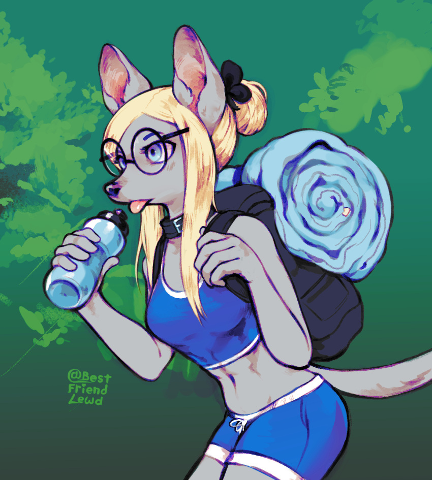 anthro backpack bestfriendforever blonde_hair blue_eyes bottle bottomwear bra canid canine canis clothing collar container domestic_dog eyewear female fur glasses green_background grey_body grey_fur greyhound hair hi_res hiking hotpants hunting_dog long_hair mammal navel round_glasses shorts sighthound simple_background solo tongue tongue_out underwear water_bottle