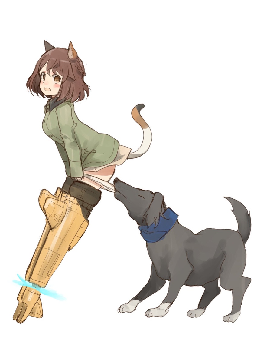 animal_ears brown_hair canine cat_ears cat_girl cat_tail female green_jacket highres jacket luminous_witches murayama_kei no_pants open_mouth panties panty_pull shibuya_inori striker_unit tail underwear world_witches_series yellow_eyes