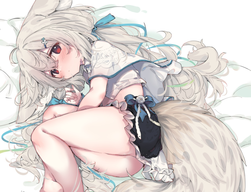 ahoge animal_ear_fluff animal_ears arm_between_legs bare_legs black_skirt blue_bow blue_ribbon blush bow bow_skirt braid capelet closed_mouth collared_shirt commission crop_top crossed_ankles dot_mouth ears_down eip_(pepai) feet_out_of_frame female fetal_position fox_ears fox_girl fox_tail frilled_skirt frills grey_hair hair_between_eyes hair_ornament hair_ribbon hairclip hand_up large_ears large_tail layered_capelet layered_skirt long_hair looking_at_viewer low_twintails lying midriff miniskirt on_back on_side original red_eyes ribbon sakurada_shiro_(hy_plus) sakurada_shiro_(summer)_(hy_plus) scrunchie shirt side_braid simple_background skeb_commission skirt solo tail twintails very_long_hair white_background white_capelet white_shirt wrist_scrunchie