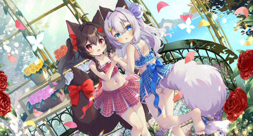 2girls :d absurdres ahoge animal_ear_fluff animal_ears ass barefoot bikini bikini_skirt black_hair blue_bikini blue_eyes blush breasts bug butterfly commentary_request feet_out_of_frame flower fox_ears fox_girl fox_tail glaze_artifacts grey_hair hair_ornament heart heart_hair_ornament highres holding_hands interlocked_fingers long_hair looking_at_viewer looking_back multiple_girls navel oerba_yun_fang original petals pink_flower pink_rose plaid plaid_bikini red_bikini red_eyes red_flower red_rose rose rose_petals sidelocks siera_(sieracitrus) small_breasts smile soles standing standing_on_one_leg swimsuit tail twintails very_long_hair water white_flower white_rose yellow_flower yellow_rose