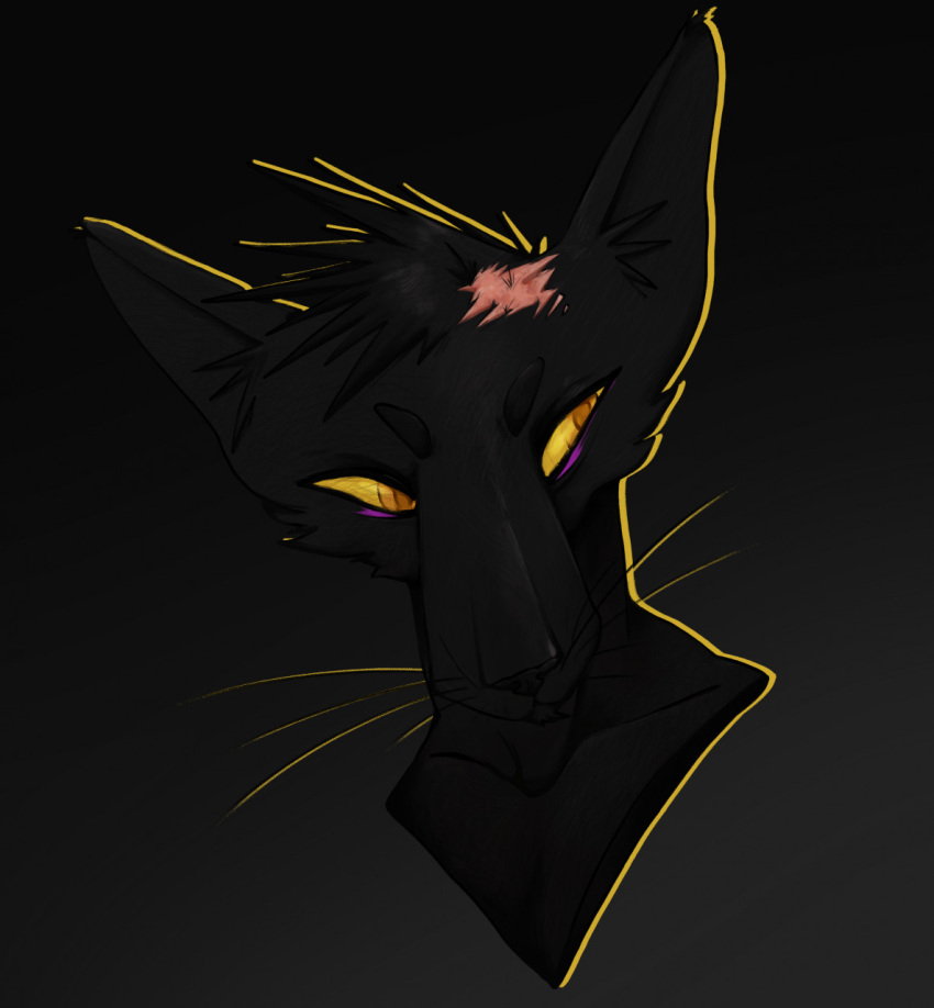 anthro black_body black_ears black_fur black_hair black_nose bust_portrait felid fur hair head_scar hi_res lionfloof looking_aside male mammal mouth_closed orange_eyes orange_pupils portrait pupils scar short_hair simple_background solo whiskers yellow_sclera