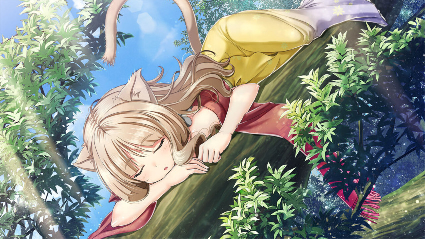 amrita_(artwhirl) animal_ears artwhirl_mahou_gakuen_no_otome-tachi blonde_hair blue_sky cat_ears cat_tail closed_eyes day female game_cg gradient_skirt in_tree kimura_kitaka long_hair long_skirt lying on_stomach open_mouth red_scarf scarf skirt sky sleeping solo sunlight tail tree white_skirt yellow_skirt