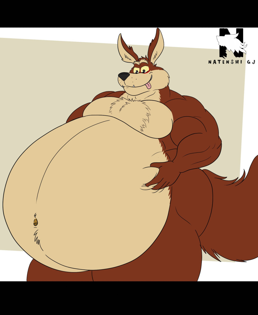 2024 anthro belly belly_grab big_belly canid canine canis chest_tuft coyote fangs fur half-closed_eyes hand_on_belly hi_res looney_tunes low-angle_view male mammal narrowed_eyes navel nude obese obese_anthro obese_male overweight overweight_anthro overweight_male signature smile solo teeth tongue tongue_out tuft warner_brothers wile_e._coyote zangokunatenshi