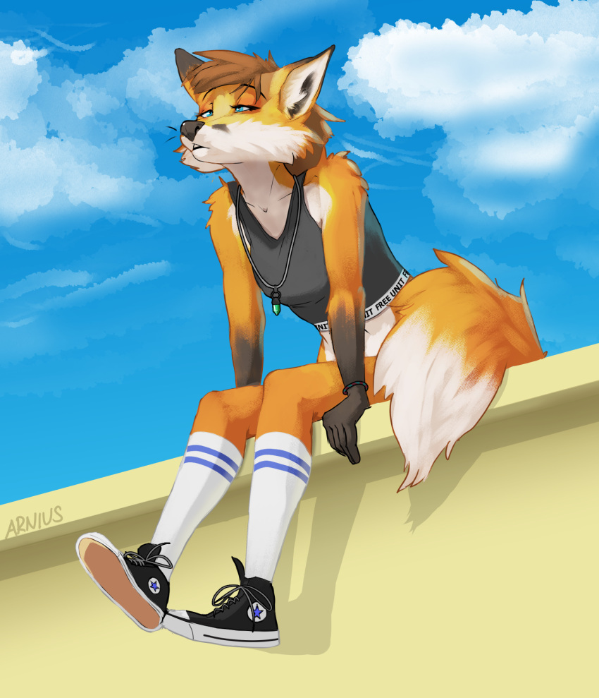 anthro arnius blue_eyes breasts brown_hair canid canine clothing cloud female footwear fox fur hair hi_res jewelry looking_away mammal medium_hair necklace orange_body orange_fur shirt shoes sitting sky small_breasts socks solo tank_top topwear white_body white_fur